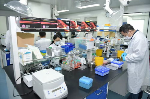 全力以赴爭分奪秒 科技攻關助力抗疫——聚焦李強調研生物醫藥企業要求加快研發成果轉化